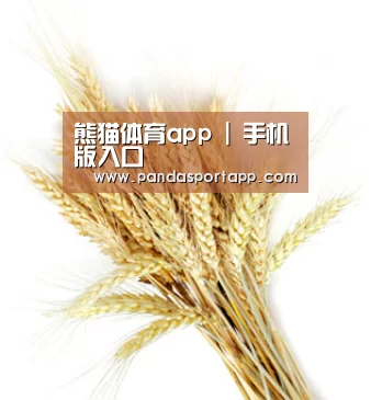 熊猫体育app | 手机版入口