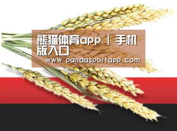 熊猫体育app | 手机版入口