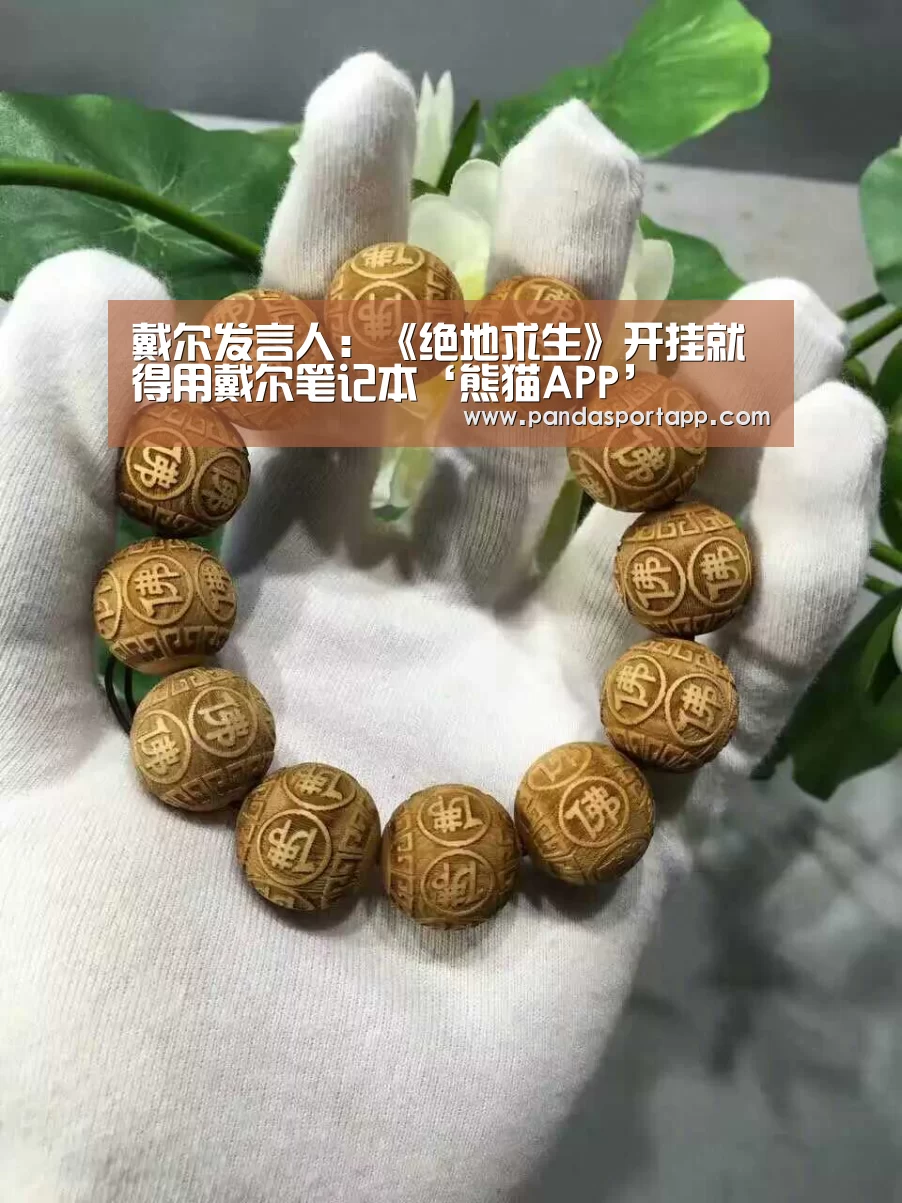 戴尔发言人:《绝地求生》开挂就得用戴尔笔记本‘熊猫APP’(图1) 熊猫体育