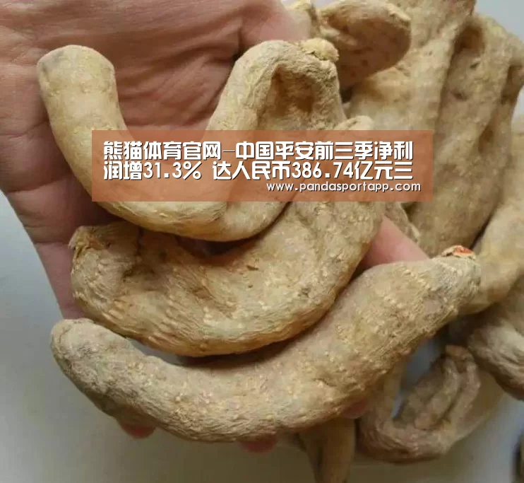 熊猫体育官网-中国平安前三季净利润增31.3% 达人民币386.74亿元三大主营业务增长强劲 推出千名核心人员持股计划(图3) 熊猫体育官网