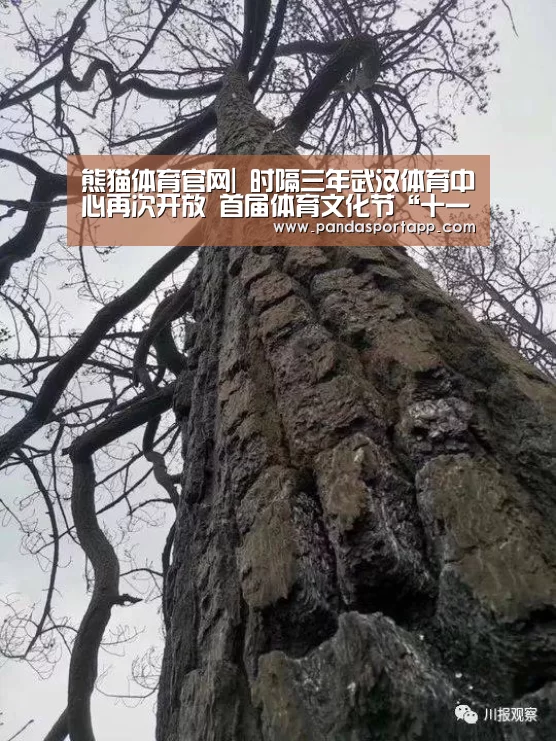 熊猫体育官网|
时隔三年武汉体育中心再次开放 首届体育文化节“十一”开幕(图2) 熊猫APP