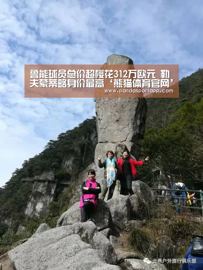 鲁能球员总价超樱花312万欧元 勒夫蒙蒂略身价最高‘熊猫体育官网’(图4) 熊猫体育官网