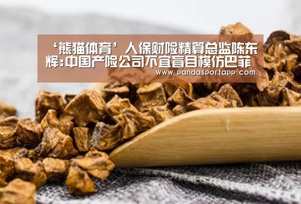 ‘熊猫体育’人保财险精算总监陈东辉:中国产险公司不宜盲目模仿巴菲特(图1) 熊猫体育app